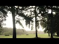 Frank Ocean - White Ferrari Outro Loop (TikTok) Seamless - Fade Out