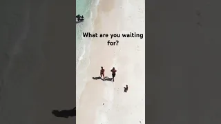 What are you waiting for? #barefoottravels #catamaran  #shorts