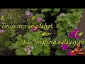 Magdalena - Freddie Aguilar | Lyrics And Chords | Guitar Guide | OPM Classic Greatest Hit SONG |2021