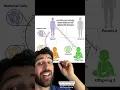 Download Lagu A Man Can Permanently Alter a Woman’s DNA #science