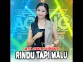 Rindu Tapi Malu (feat. Ageng Music) - Cantika Davinca