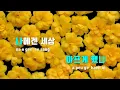 [TJ노래방] 좋은사람(2022)(플렌즈서연대 22학번편OST) - 해찬(HAECHAN) / TJ Karaoke