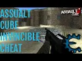 Assault Cube C Infinite Health Cheat