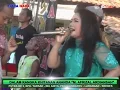 Download Lagu NYAWANG GUNUNG - CITRA NADA Live Ds.PENJALIN BANYU