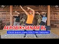 Lagu SENAM AEROBIK+ BL BAKAR LEMAK PERUT 