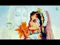 Amma Ninna Darushandhi | Goddess Parvati Song |S P Balasubrahmanyam | Shiva Devotional Songs