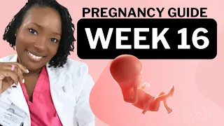 16 weeks pregnant what to expect
