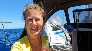 Solo Sailing the Great Barrier Reef: Engineless Adventure Unleashed! – Ep. 259