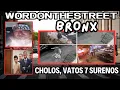 Lagu Cholos Surenos \u0026 Vatos Locos Gangs In The Bronx