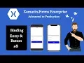 Xamarin Form VM Binding Entry and Button