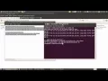 PHP - comando exec e passthru