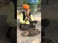 Download Lagu Snake Charmer in Delhi
