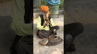 Snake Charmer In Delhi 