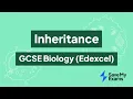 Inheritance GCSE Biology Edexcel