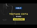 Tentang Cinta - IPANG (Karaoke Acoustic)