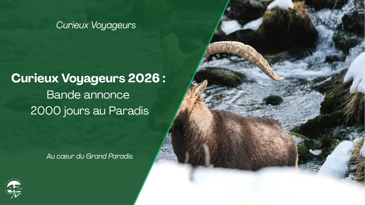 ⁣Festival curieux voyageurs - bande annonce du film 2000 jours au Paradis