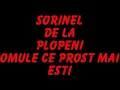 Download Lagu SORINEL DE LA PLOPENI  -  OMULE CE PROST MAI ESTI