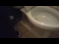 1976 2008 Kohler Kelston Toilet