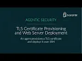 TLS Certificate Provisioning and Web Server Deployment by an AI Agent