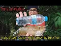 Lagu MENGERIKAN‼️Nyaris tak terangkat, joran ditarik MONSTER SEBESAR BOTOL // MANCING UDANG GALAH TERBAIK