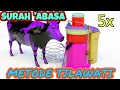 Download Lagu MURROTAL ANAK SURAH 'ABASA METODE TILAWATI