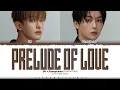 DK X Seungkwan (SEVENTEEN) 'Prelude of love' Lyrics (도겸X승관 Prelude of love 가사) [Color Coded Lyrics]