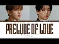DK X Seungkwan (SEVENTEEN) 'Prelude of love' Lyrics (도겸X승관 Prelude of love 가사) [Color Coded Lyrics]