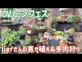 Lagu グリーンフェス🍀　lierさんの寄せ植え＆多肉狩り