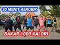 Download Lagu 7 HARI AEROBIK PENURUNAN BERAT BADAN