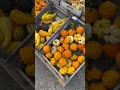 Going to a pumpkin patch is just the best Autumnal thing to do