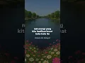 Download Lagu Tiap penyakit pasti ada obatnya