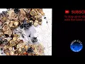 Pistol By Da Bed - Moneybagg Yo (CLEAN) BEST ON YOUTUBE