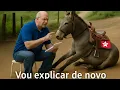 Download Lagu RUBÃO MOSTRA UM VÍDEO DO KIM KATAGUIRI E DETONA QUEM ATACA O MENSAGEIRO SEM LER A MENSAGEM