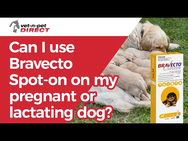 Bravecto Spot-On for Dogs 40kg-56kg (Pink) - 1 Pack