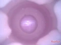 Download Lagu Fleshlight Stoya Epic texture - inside cam