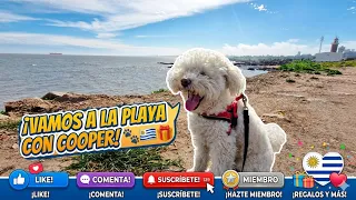 Nos acompañas? 