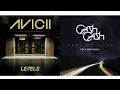 Take Me Home to the Levels (Mashup) Avicii, Cash Cash, Bebe Rexha
