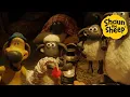 Download Lagu Whole Gang's here! 🐑 Shaun the Sheep 🐑  - Cartoons for Kids 🐑 Full Episodes Compilation [1 hour]