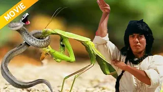 功夫電影 小夥苦練功夫 意外領悟蛇形刁手 輕鬆反殺惡霸 Kungfu 功夫 螳螂拳 蛇拳 港劇 Jackiechan  功夫電影 小夥苦練功夫 意外領悟蛇形刁手 輕鬆反殺惡霸 Kungfu 功夫 螳螂拳 蛇拳 港劇 Jackiechan