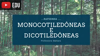 Angiospermas: como diferenciar as Monocotiledôneas das Dicotiledôneas
