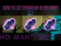Lagu How to get Pugneum in No Man's Sky
