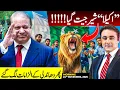Lagu By-election: PML-N wins ALONE | Rigging ALLEGATIONS again | Mansoor Ali Khan
