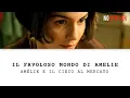 Video di Amélie  e il cieco al mercato