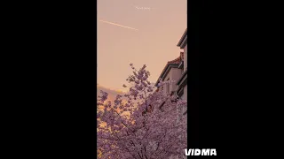 عبير نعمة بلا ما نحس بدون موسيقى 