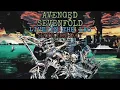 Avenged Sevenfold - Seize the Day Live in the LBC (Unofficial Vocal Track)