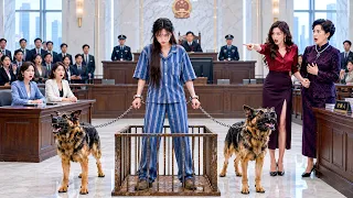 Em Gái Cướp Thận Rồi Hại Cô Mất Mạng, Sống Lại Trở Về Cũng Là Ngày Cả Nhà Phải Trả Giá!