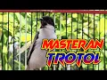 Download Lagu KEREN! CENDET INI MATERINYA KUNTILANAK SAMBUNG LOVEBIRD, COCOK BUAT MASTERAN TROTOL