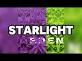 Download Lagu STIM - starlight (feat. Chaplin) (Official Lyric Video)