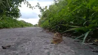 asmr suara langkah kaki