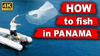 How to catch fish in Panama. Small sardines. How to use Cast Net. How to catch Red Snapper